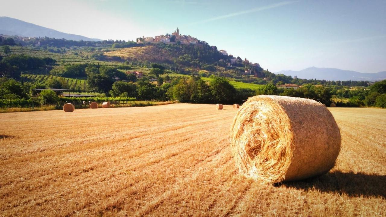 Il Cortiletto Casa Vacanza Trevi Exterior foto